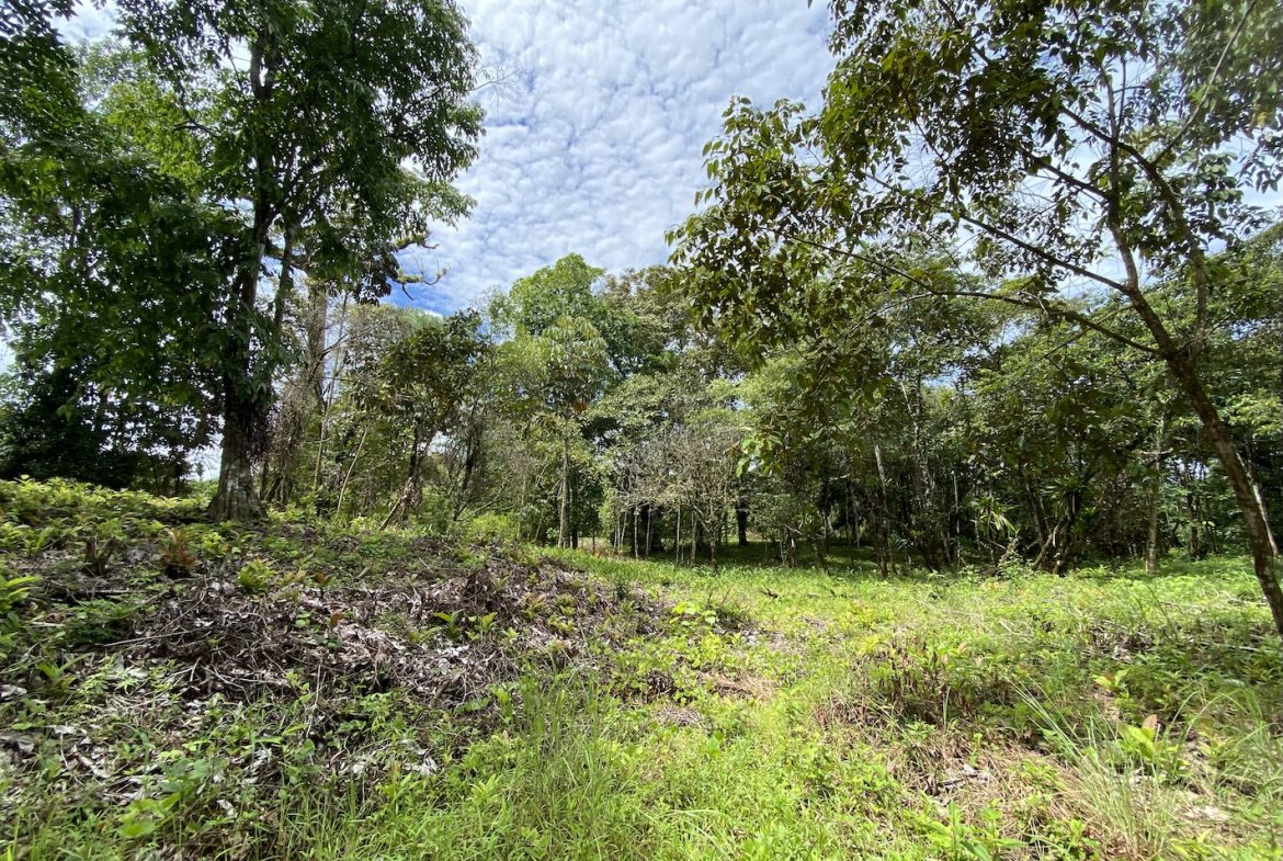 BUILDING JUNGLE PROPERTY WITH TREES VIEWS, IN OJOCHAL – 2.86 ACRES