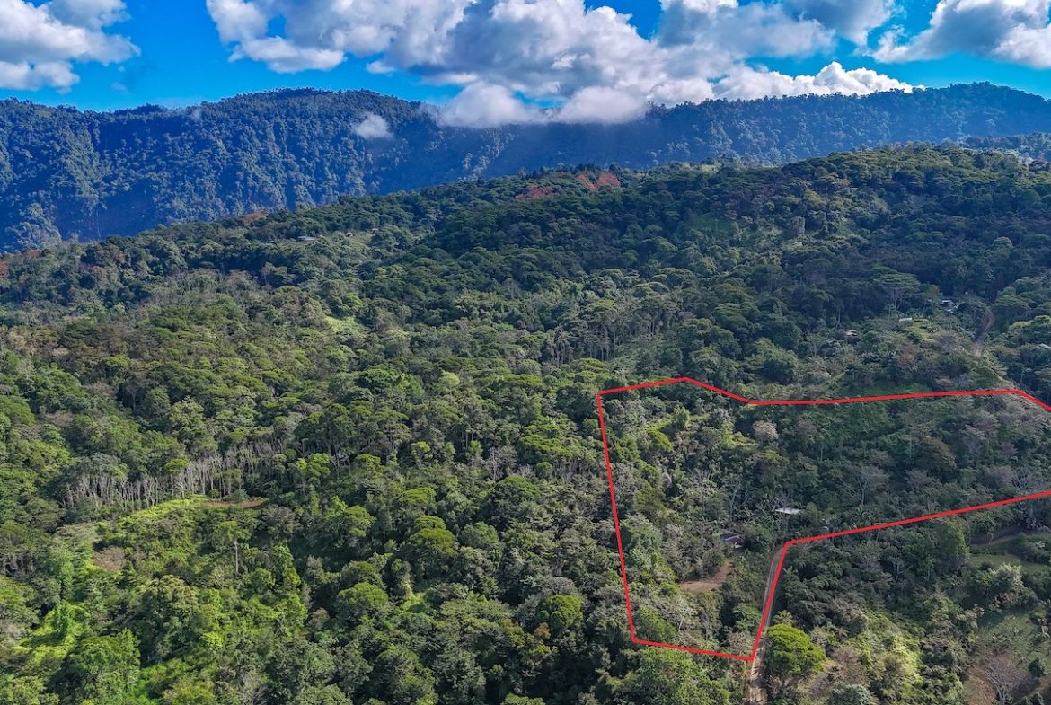 PROPERTY WITH ONE BEDROOM HOME AND TERRACE FOR YOGA AND EXTRA LOT, IN SAN SALVADOR BARU – 4.67 ACRES, Uvita, Costa Rica — photo 4