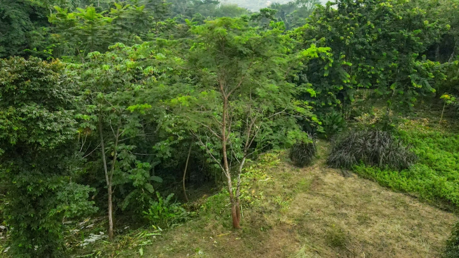 Property For Sale in Ojochal Costa Rica