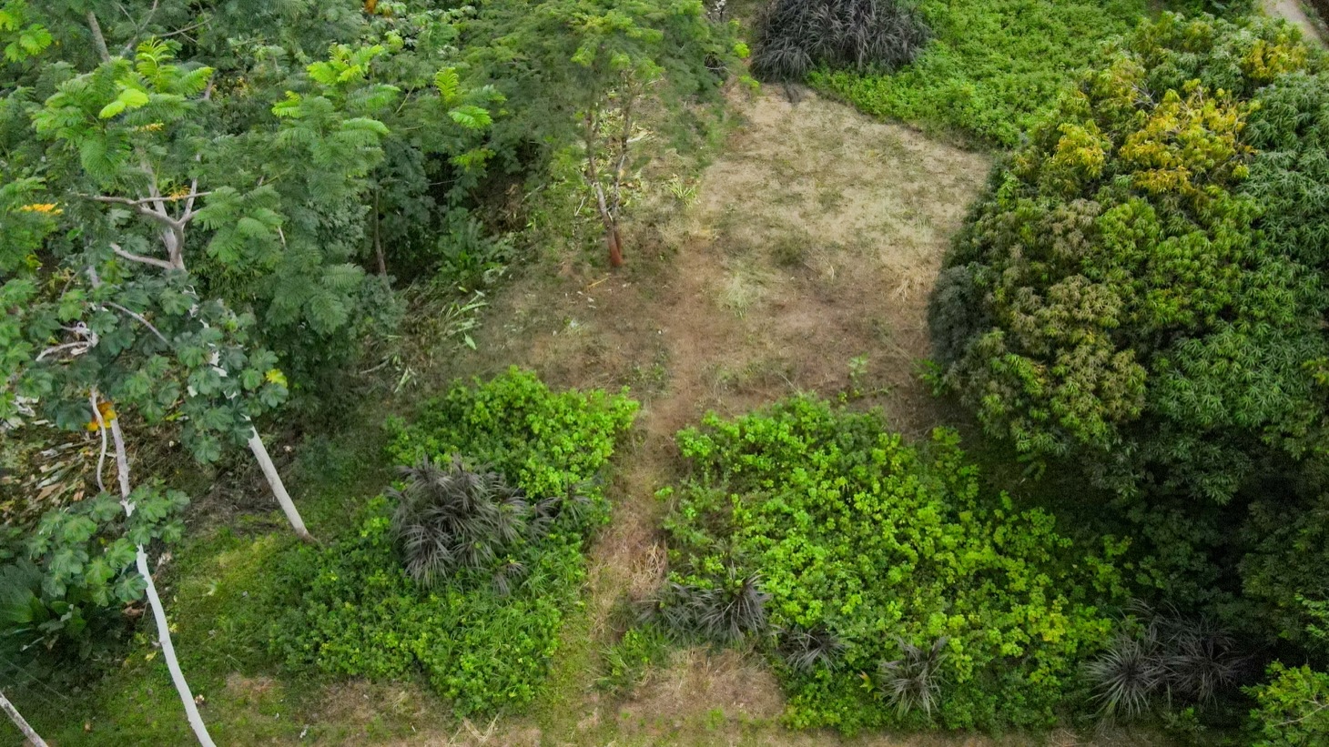 Property For Sale in Ojochal Costa Rica