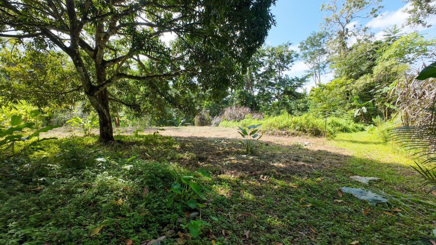 Property For Sale in Ojochal Costa Rica