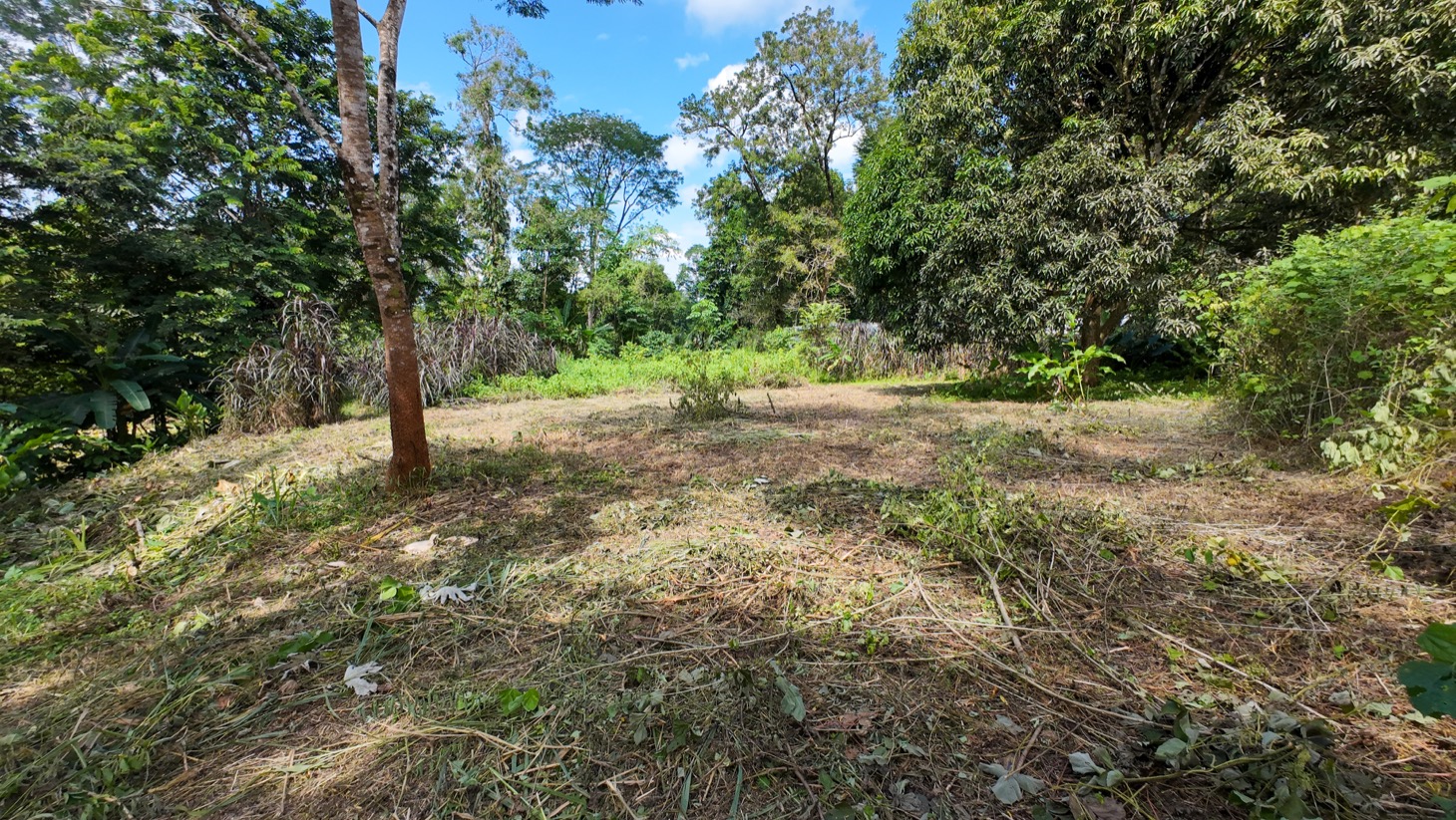 Property For Sale in Ojochal Costa Rica