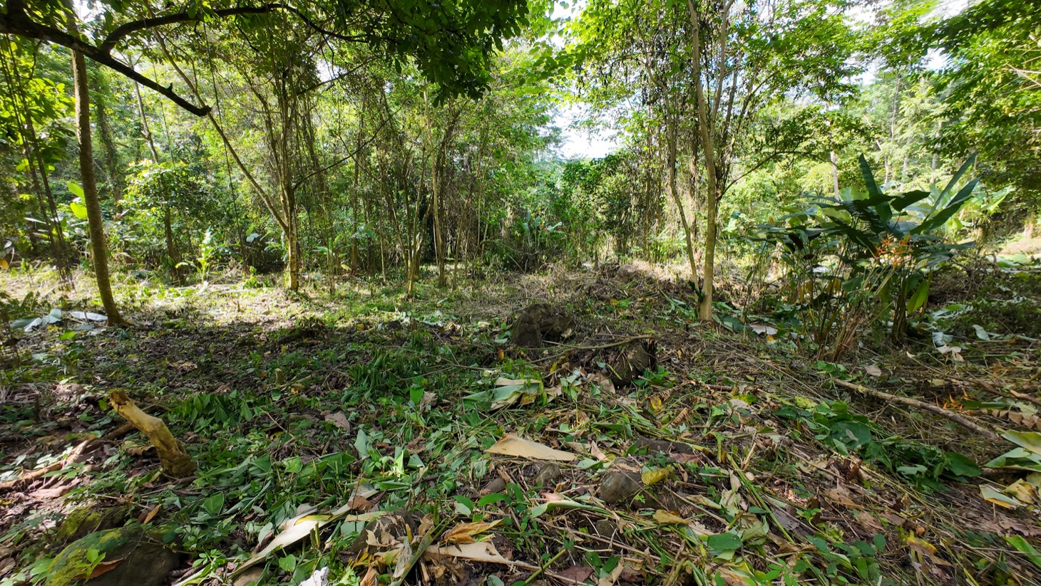 Property For Sale in Ojochal Costa Rica