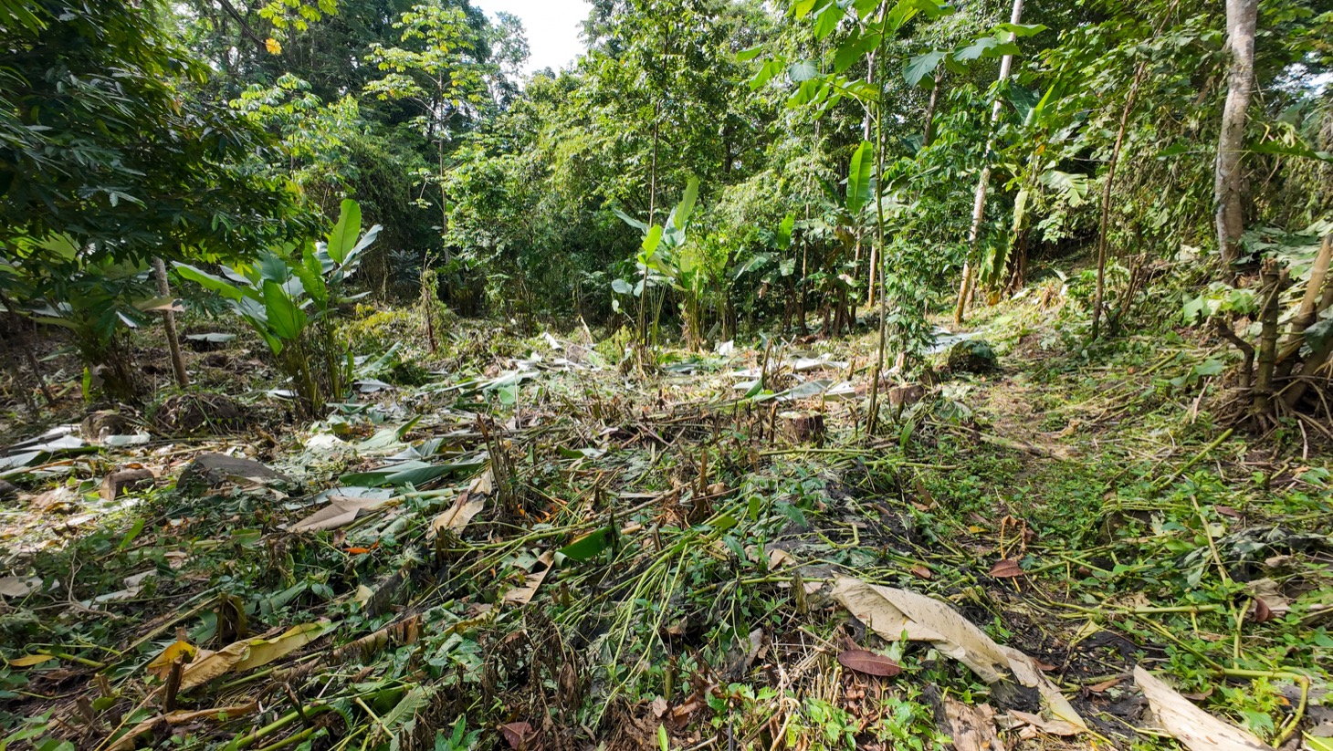 Property For Sale in Ojochal Costa Rica