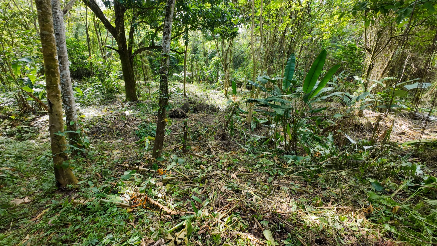 Property For Sale in Ojochal Costa Rica