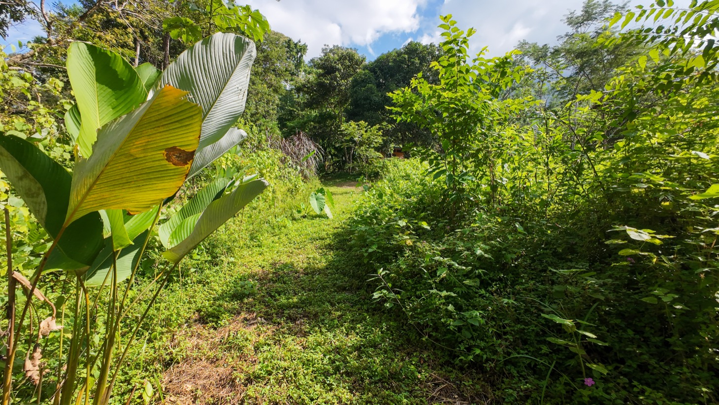 Property For Sale in Ojochal Costa Rica