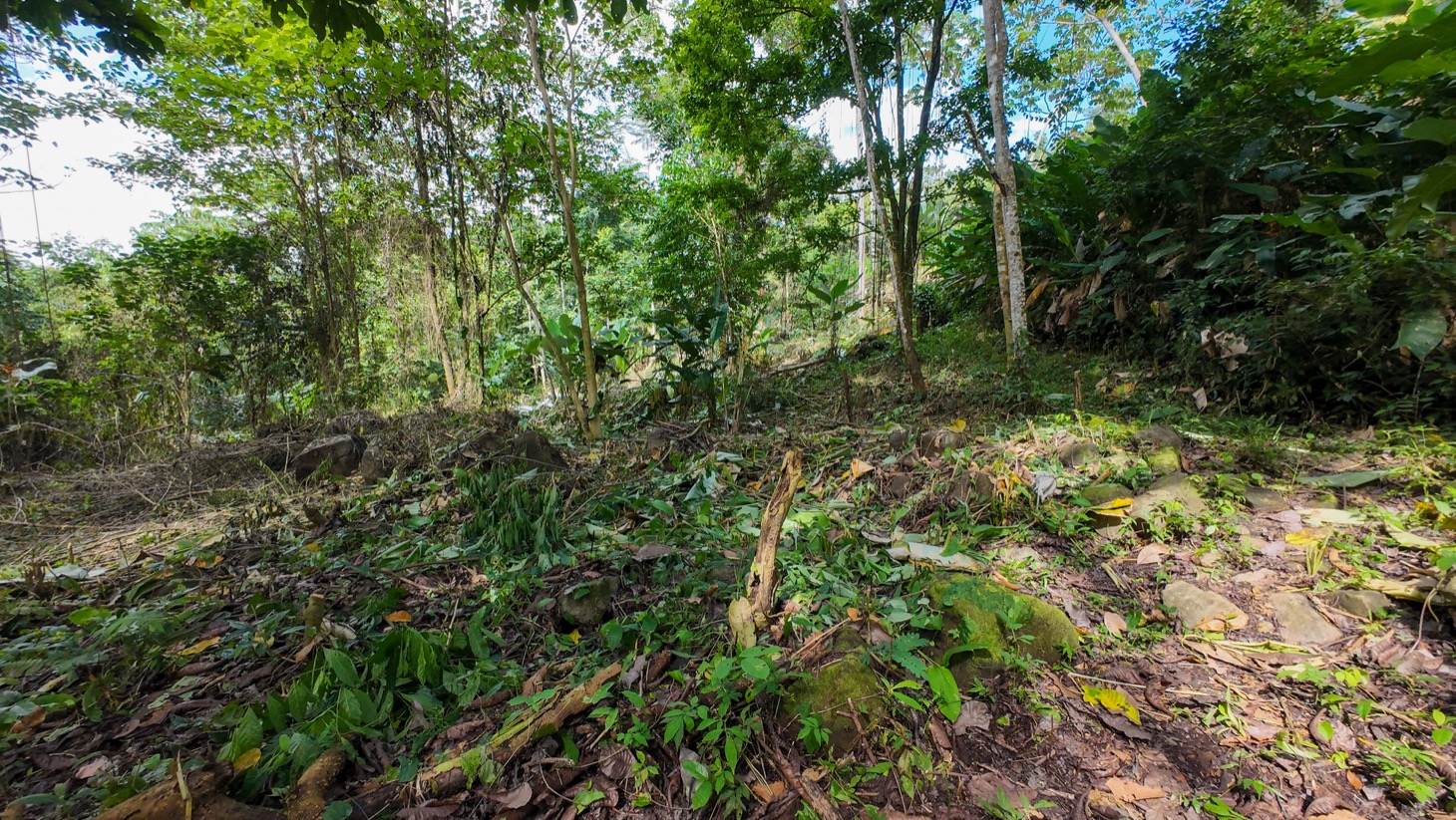 Property For Sale in Ojochal Costa Rica