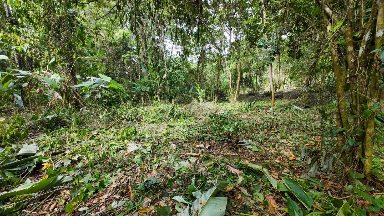 Property For Sale in Ojochal Costa Rica