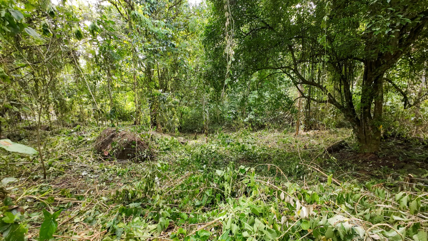 Property For Sale in Ojochal Costa Rica