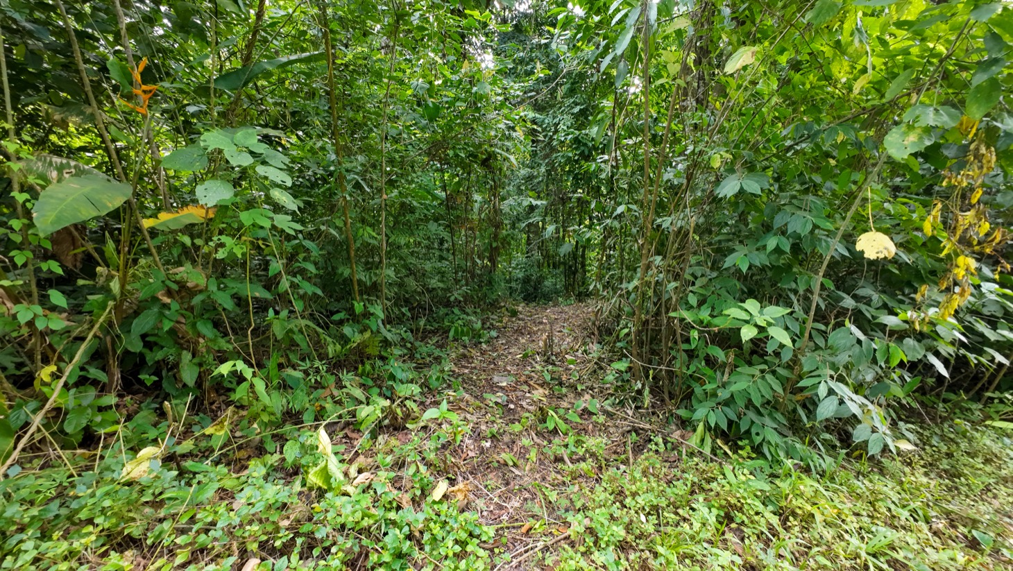 Property For Sale in Ojochal Costa Rica
