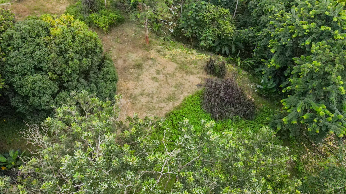 Property For Sale in Ojochal Costa Rica