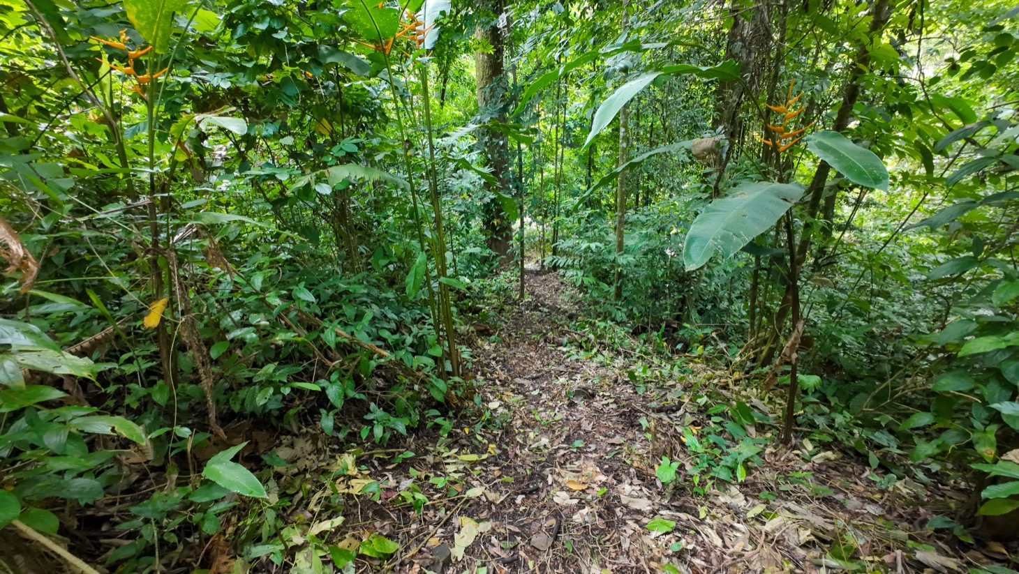 Property For Sale in Ojochal Costa Rica