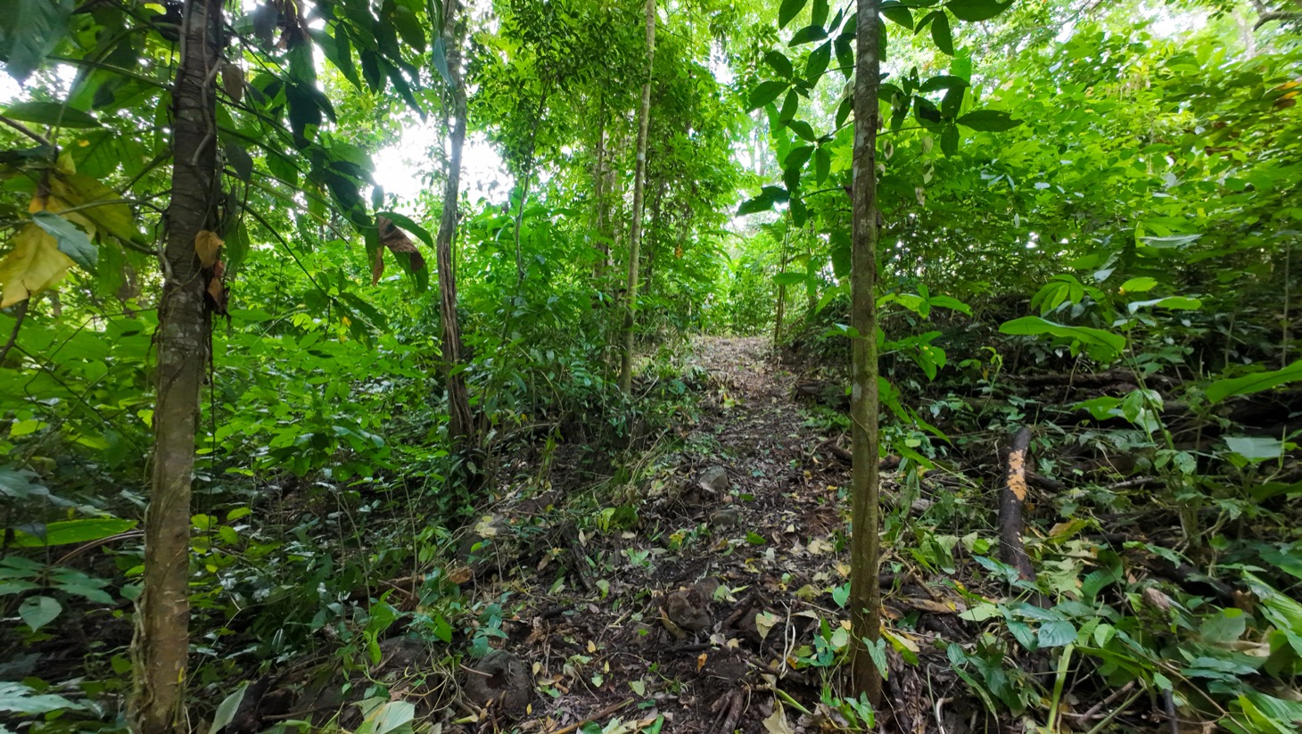 Property For Sale in Ojochal Costa Rica