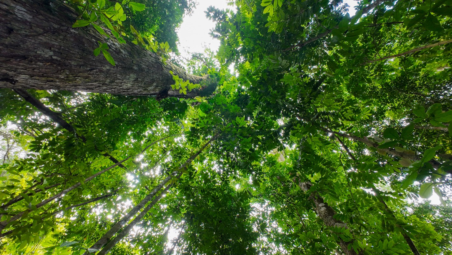 Property For Sale in Ojochal Costa Rica