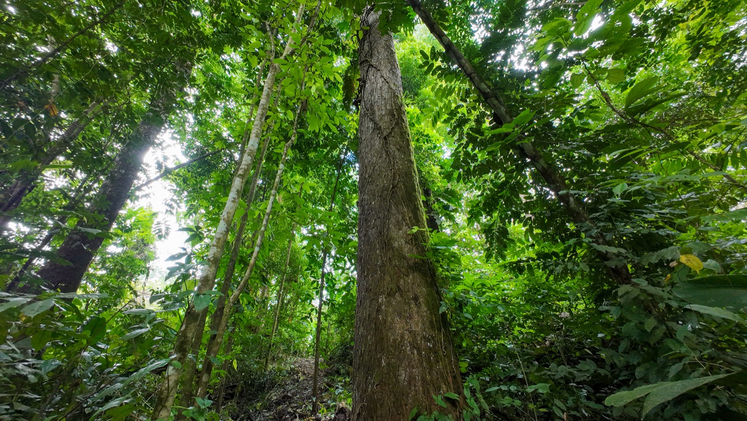 Property For Sale in Ojochal Costa Rica