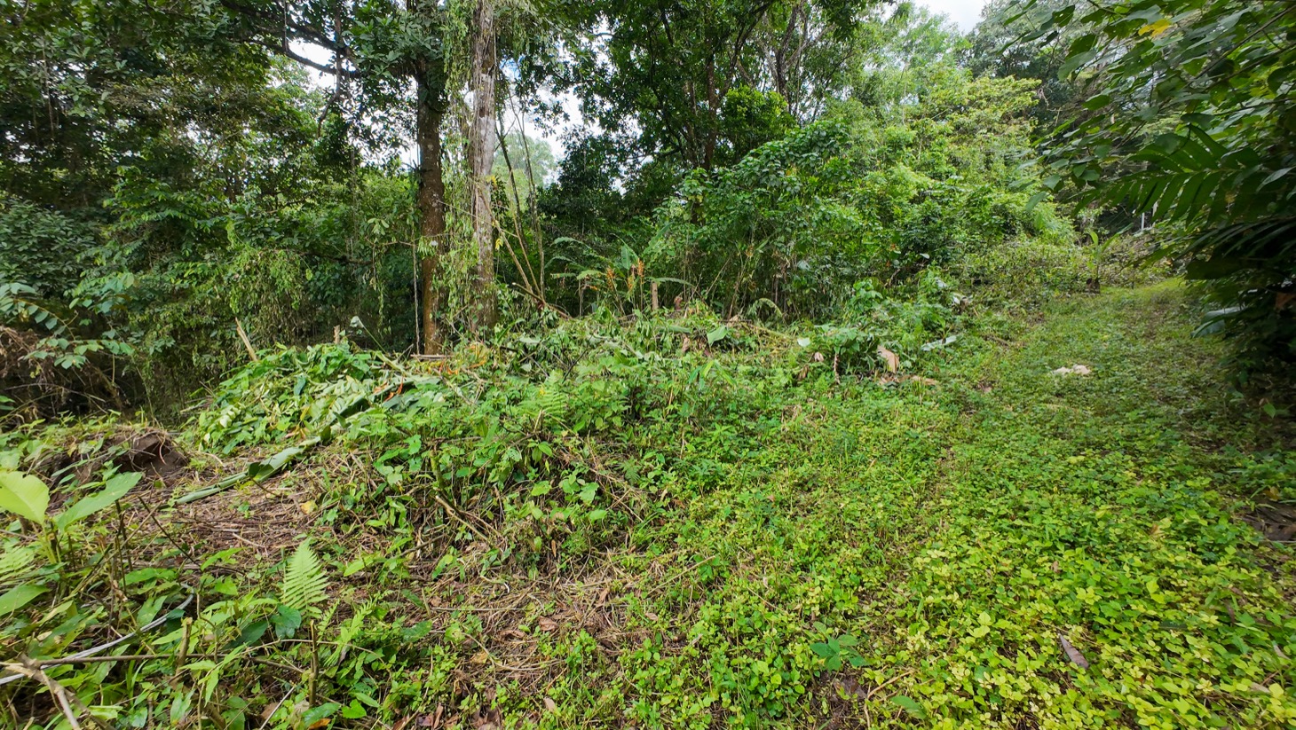 Property For Sale in Ojochal Costa Rica
