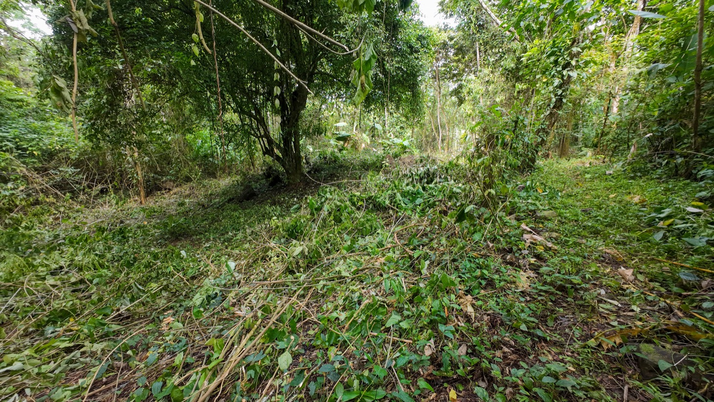 Property For Sale in Ojochal Costa Rica