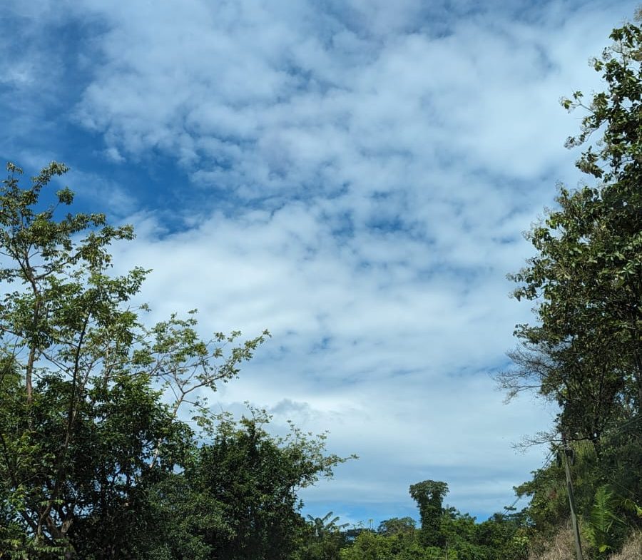 BUILDING PROPERTY WITH MOUNTAIN VIEWS AND NEAR OF CREEK, IN GUAPINOL PARRITA – 43.53 ACRES