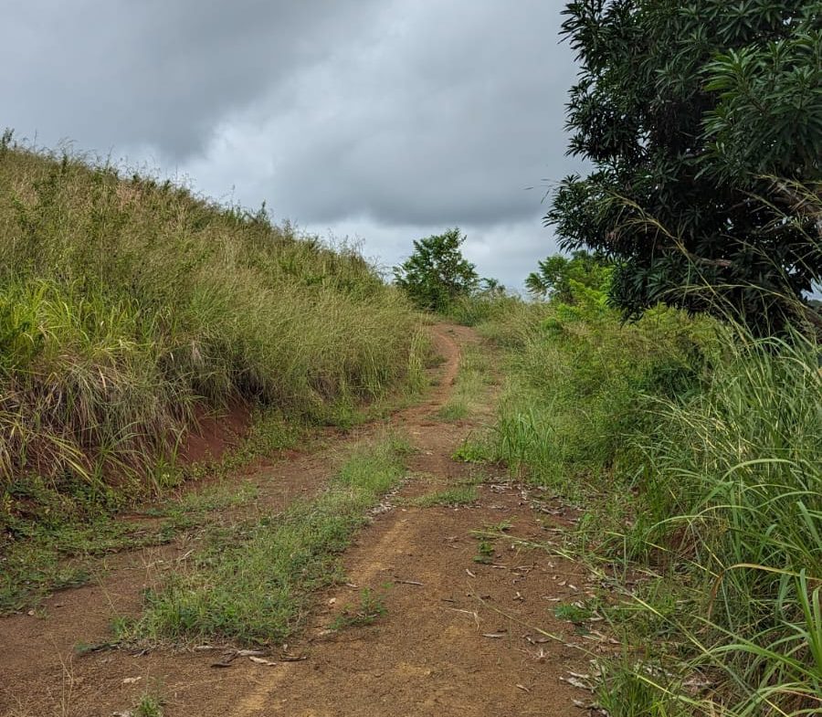 BUILDING PROPERTY WITH MOUNTAIN VIEWS AND NEAR OF CREEK, IN GUAPINOL PARRITA – 43.53 ACRES