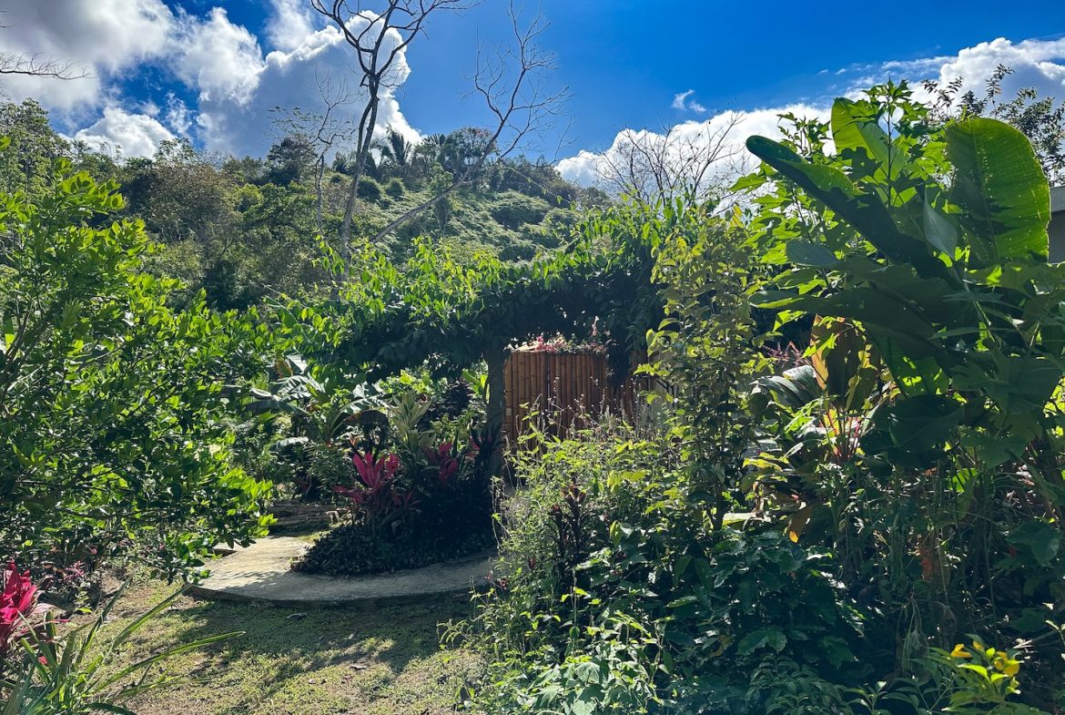 PROPERTY WITH ONE BEDROOM HOME AND TERRACE FOR YOGA AND EXTRA LOT, IN SAN SALVADOR BARU – 4.67 ACRES, Uvita, Costa Rica — photo 5