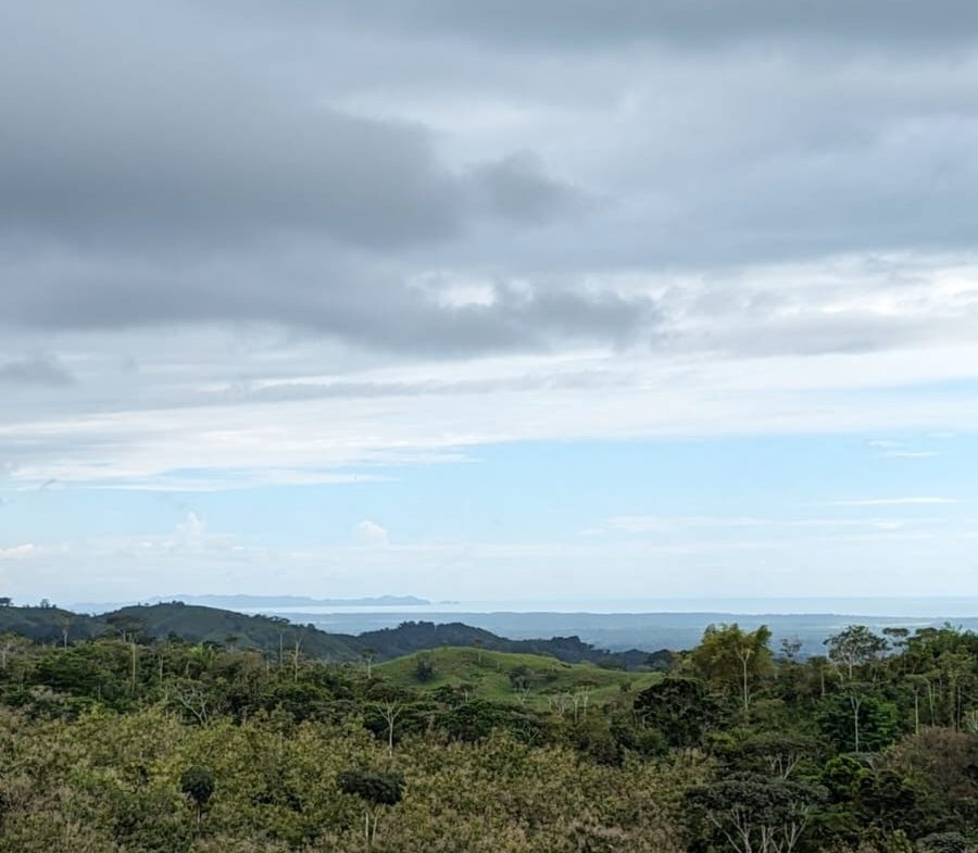 BUILDING PROPERTY WITH MOUNTAIN VIEWS AND NEAR OF CREEK, IN GUAPINOL PARRITA – 43.53 ACRES