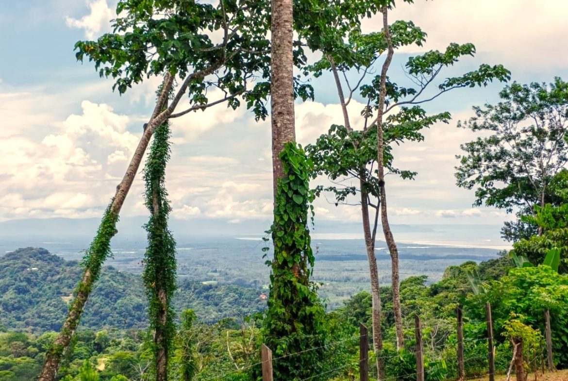 BUILDING PROPERTY WITH PANORAMIC OCEAN VIEWS, IN PUNTA MALA – 0.46 ACRES