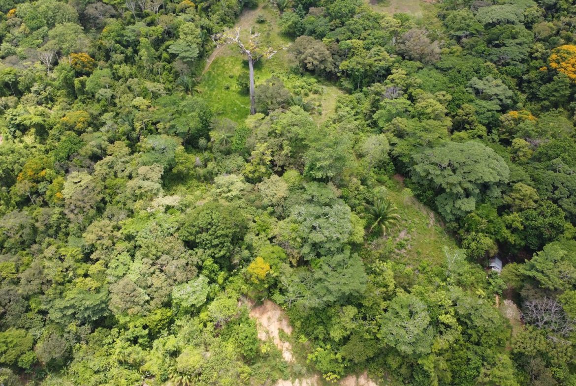 BUILDING JUNGLE PROPERTY WITH TREES VIEWS, IN OJOCHAL – 2.86 ACRES