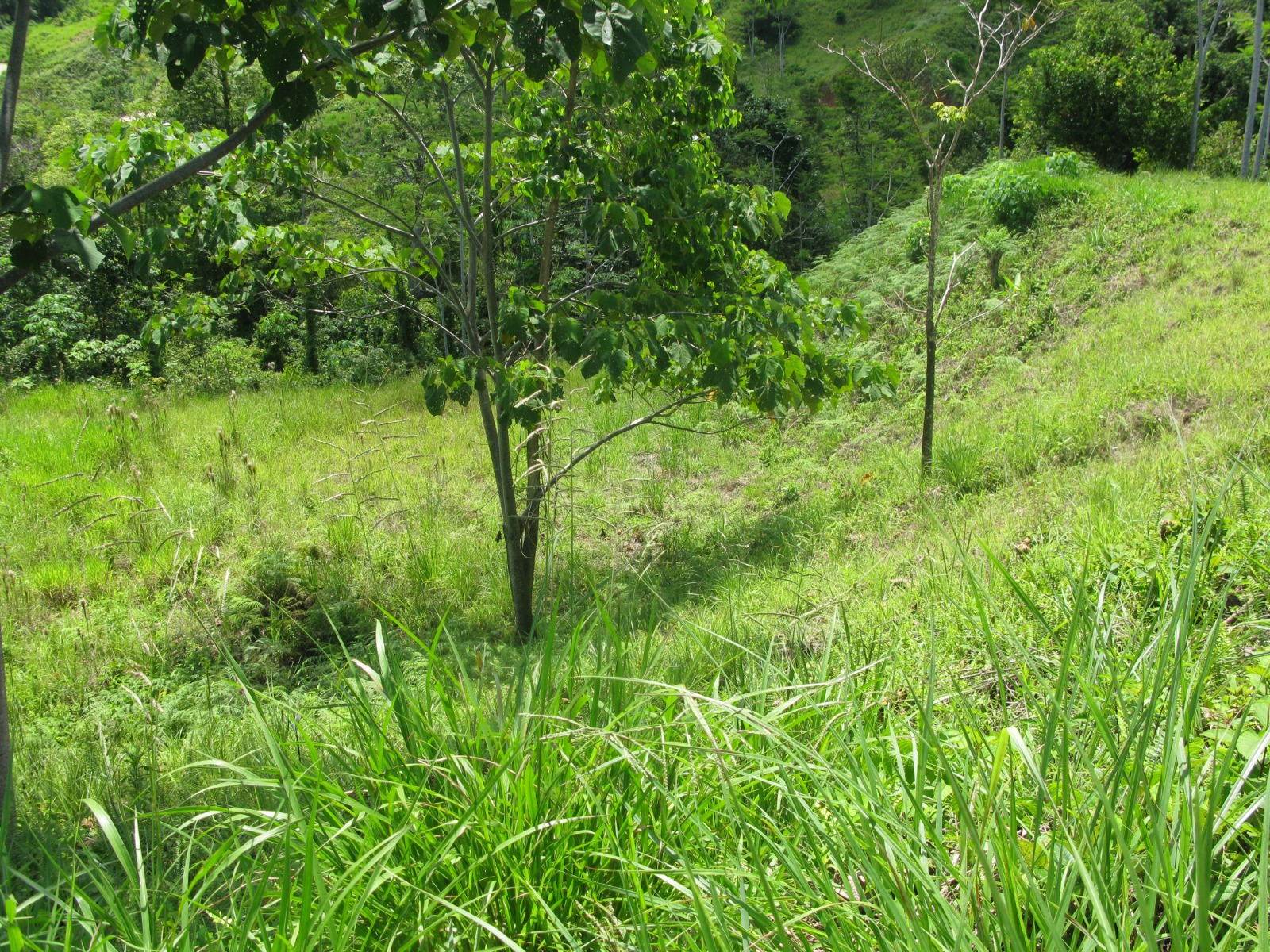 244526c7-4e17-4ce3-bcec-0c443f2202fb