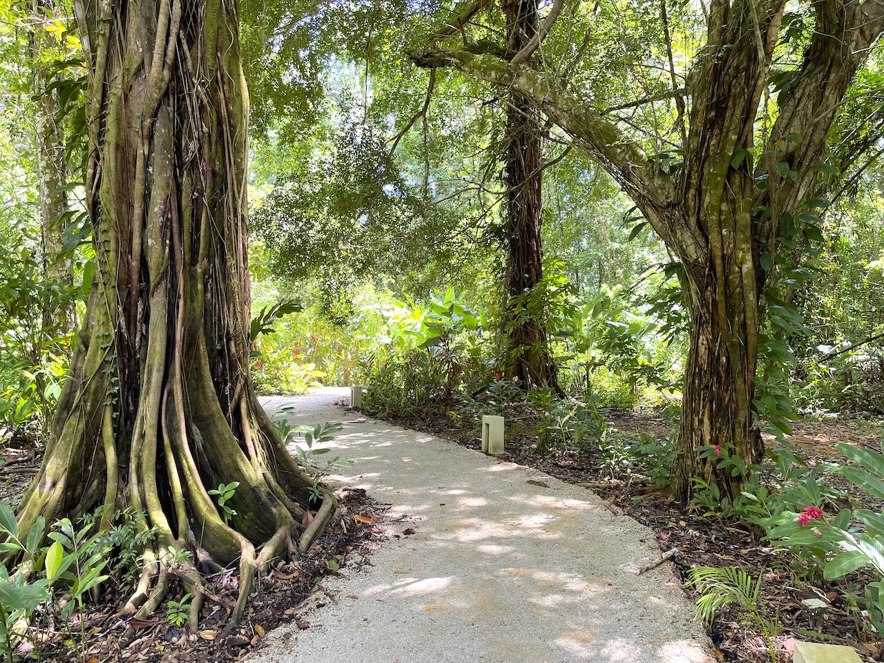 32_Elan 4E_beach trail