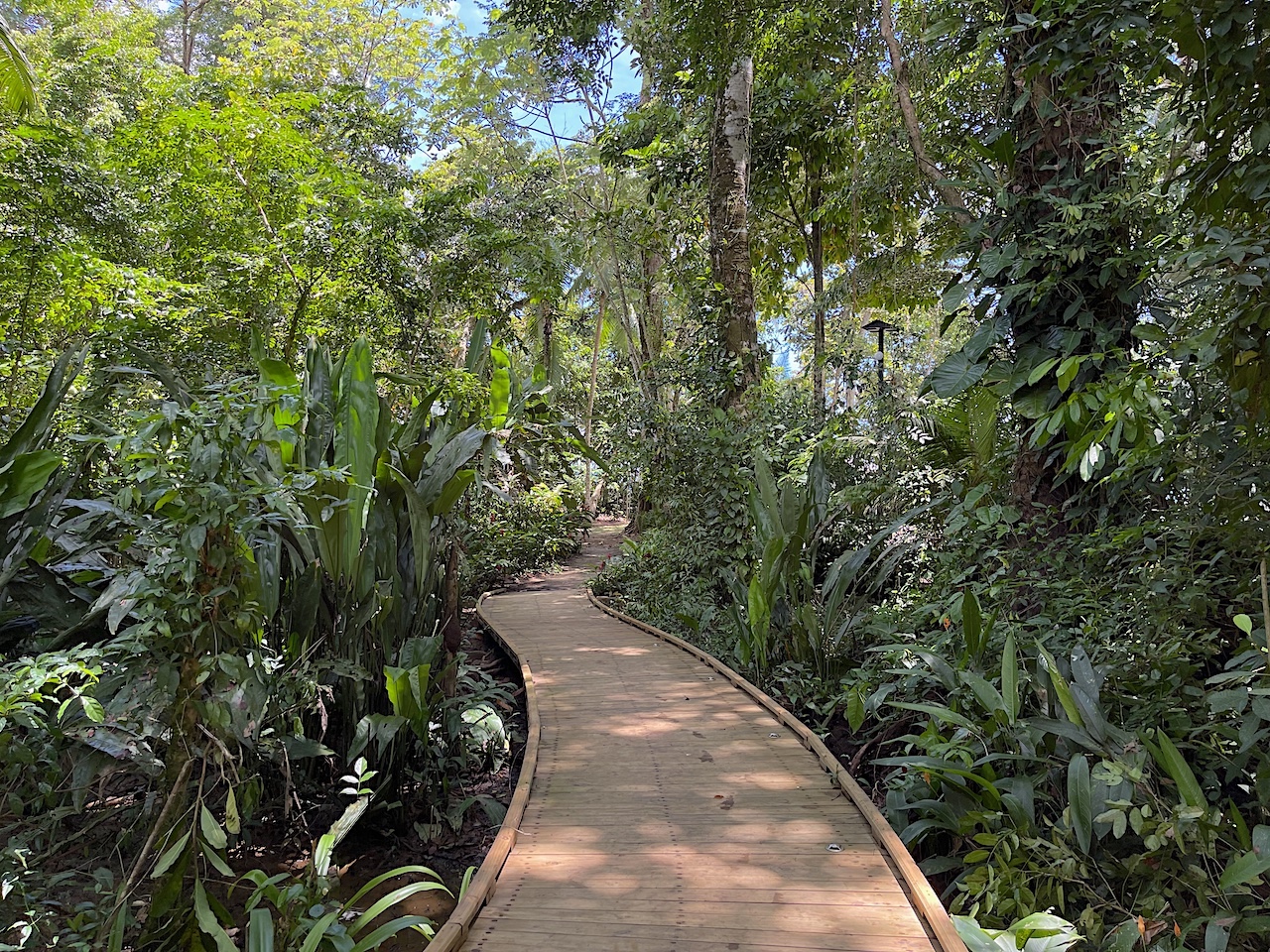 33_Elan 4E_beach trail2