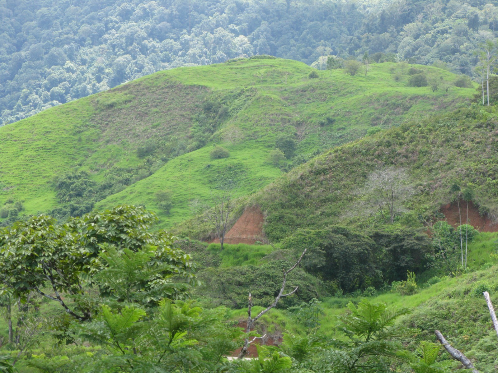 3648b06b-c5b5-4169-9911-1932edce04d1