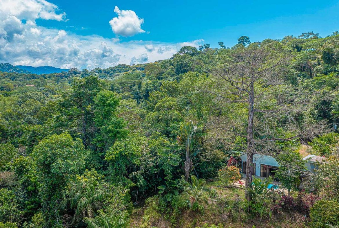 JUNGLE PROPERTY WITH 2 BEDROOM AND PANORAMIC VIEWS OF THE MOUNTAINS, IN OJOCHAL – 1.3 ACRES, Uvita, Costa Rica — photo 4