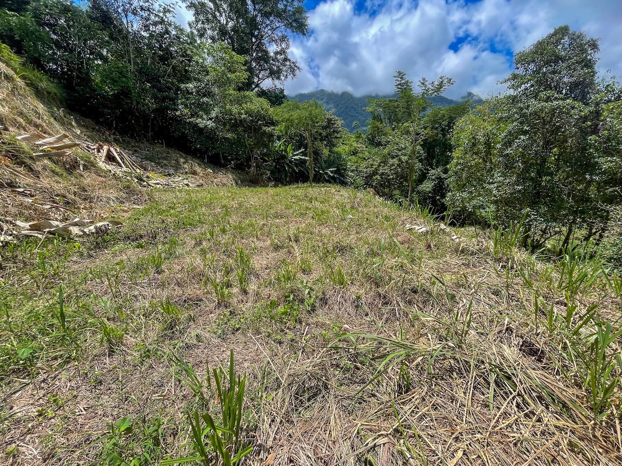 Property For Sale in Ojochal Costa Rica