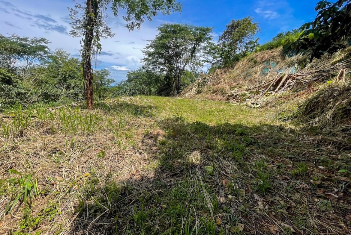 BUILDING PROPERTY WITH TREES VIEWS, IN OJOCHAL – 1.6 ACRES