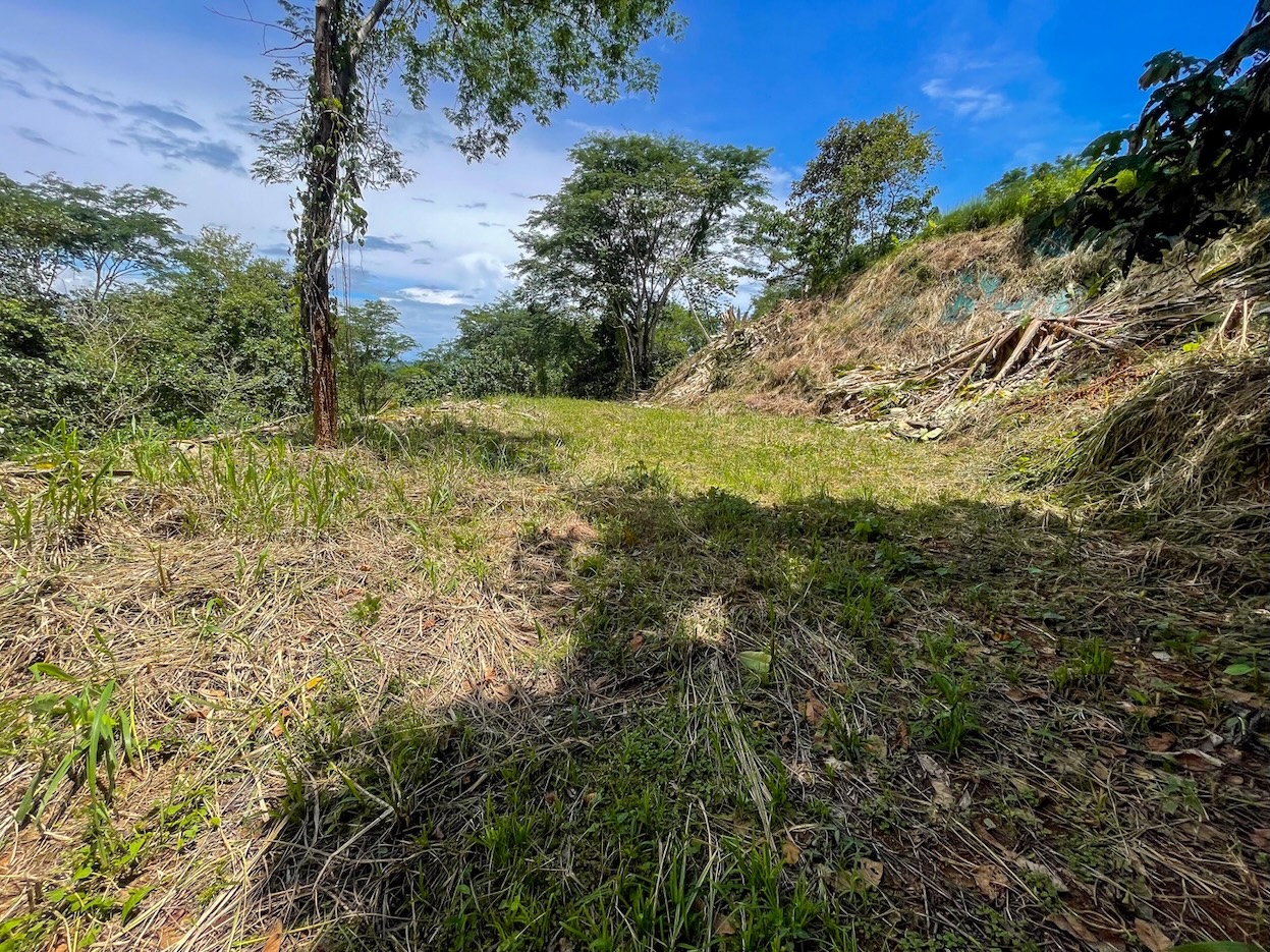 Property For Sale in Ojochal Costa Rica