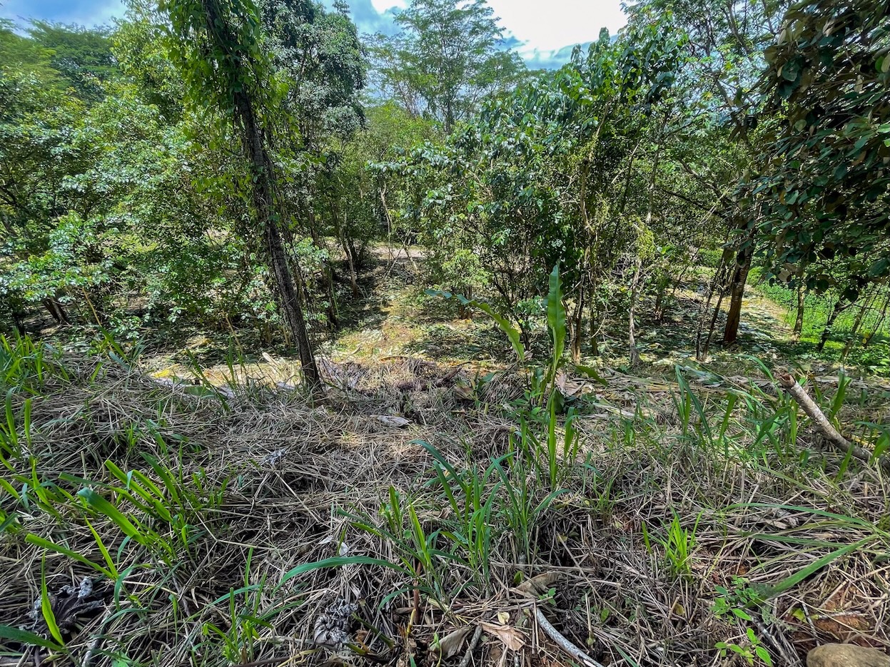 Property For Sale in Ojochal Costa Rica