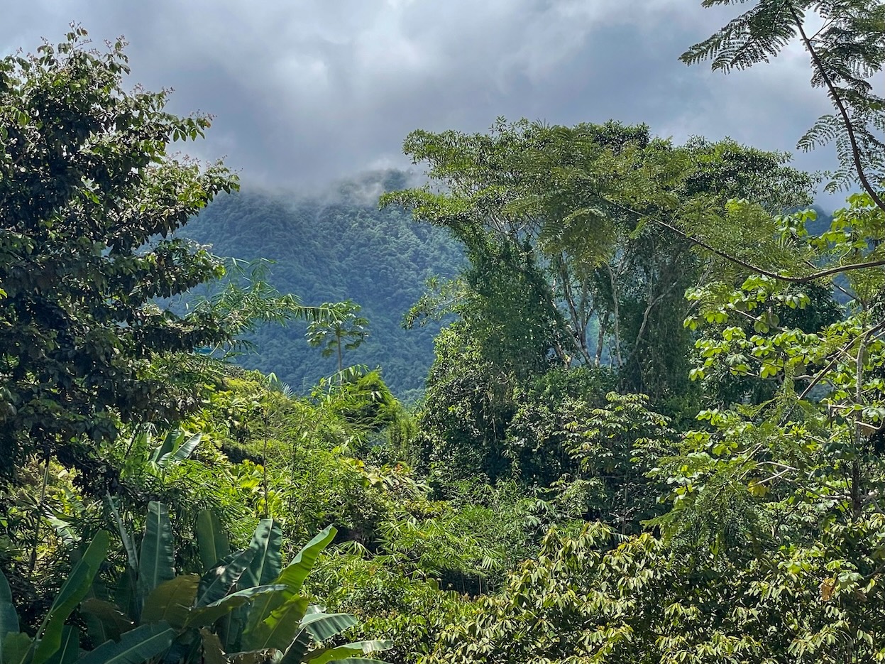 Property For Sale in Ojochal Costa Rica