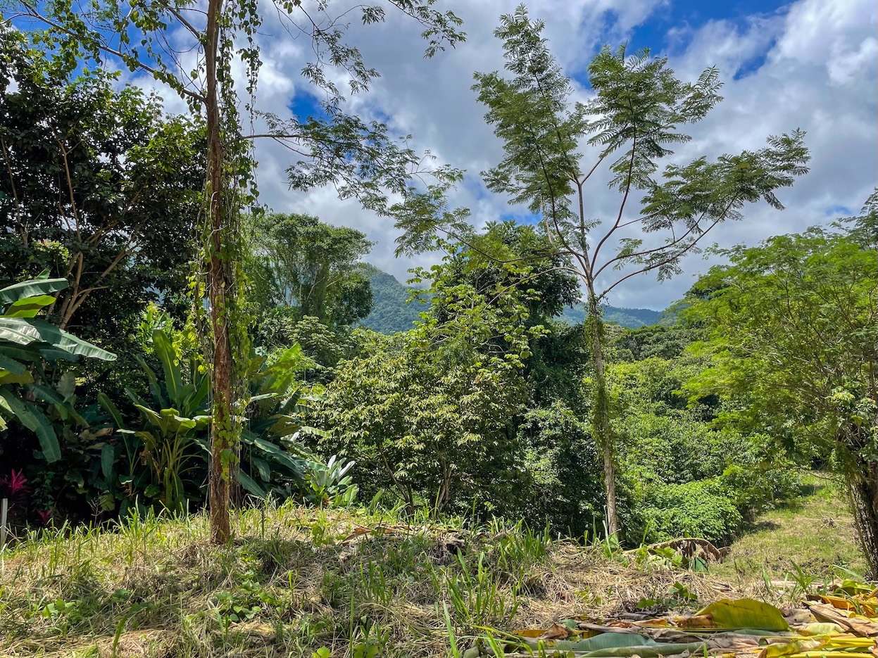 Property For Sale in Ojochal Costa Rica