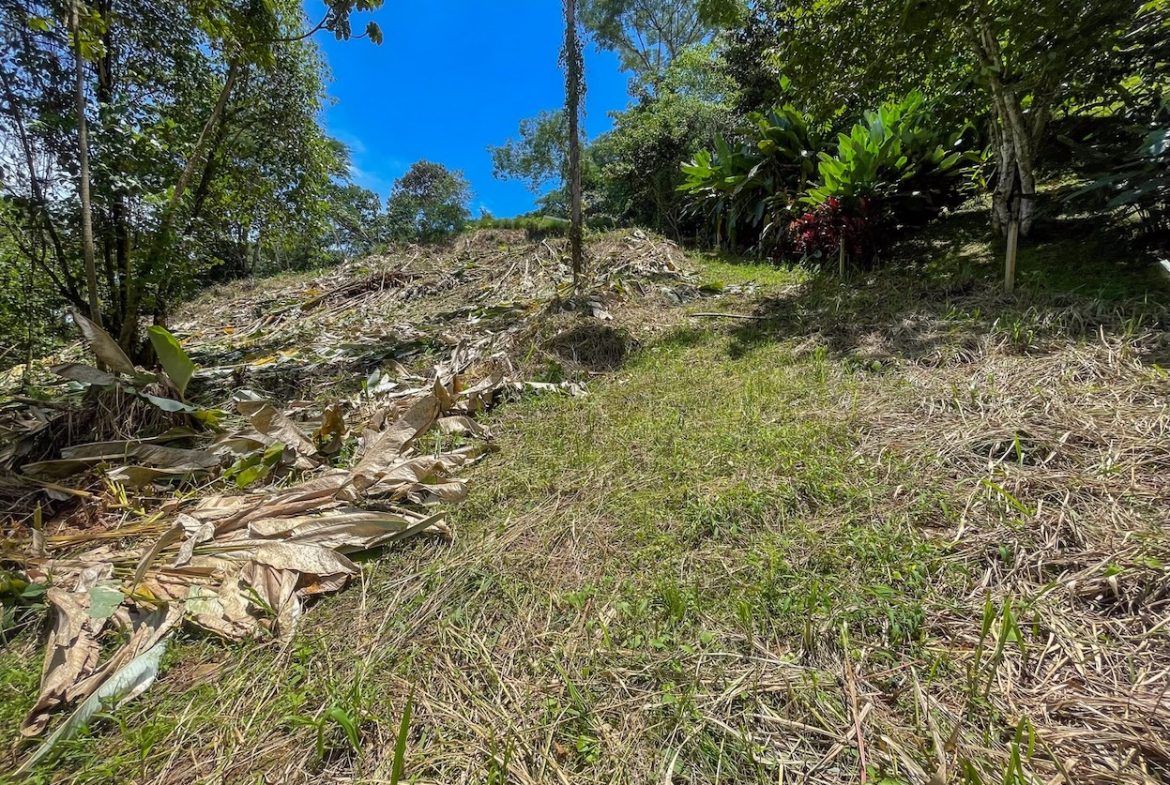 BUILDING PROPERTY WITH TREES VIEWS, IN OJOCHAL – 1.6 ACRES