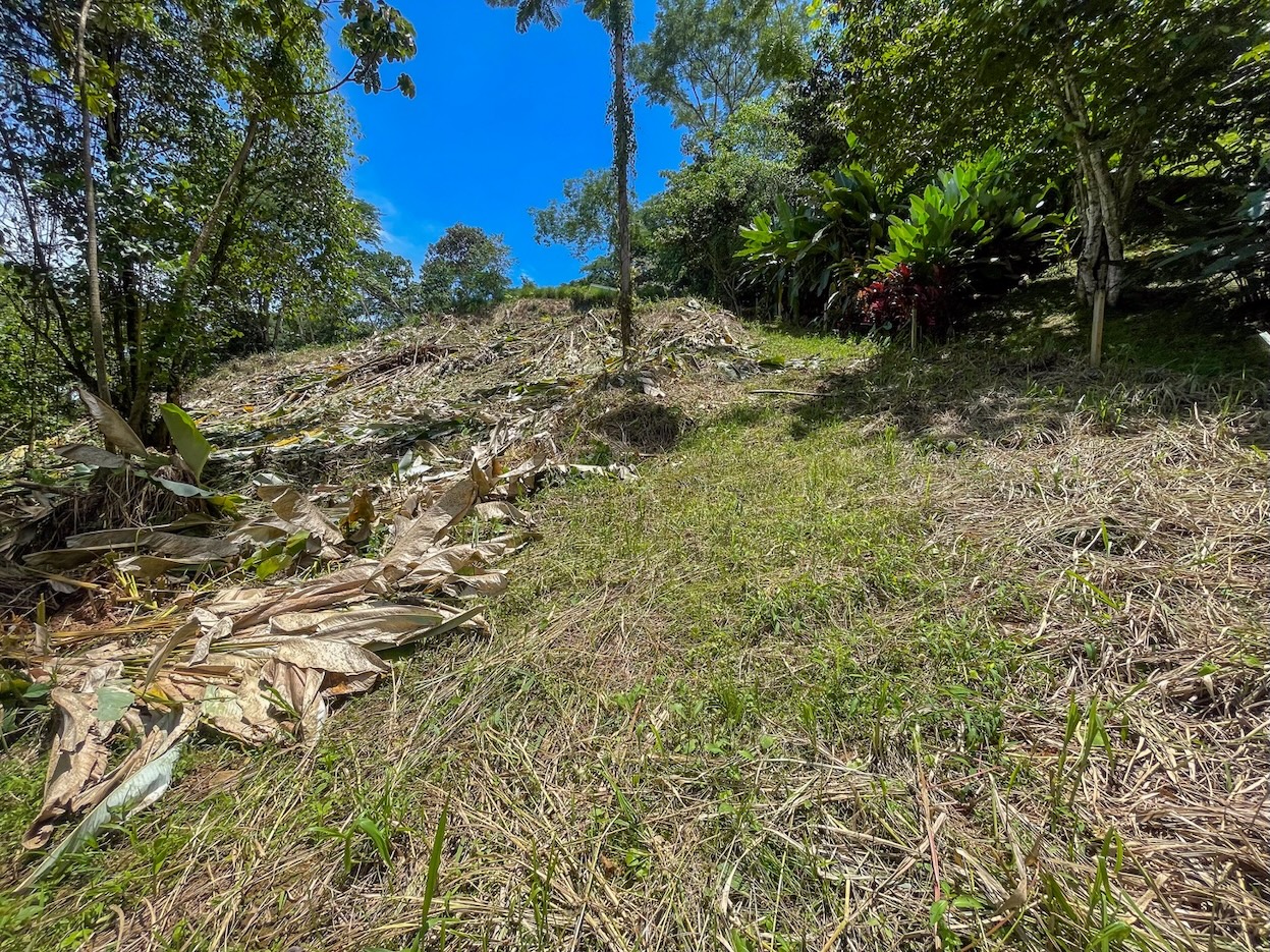 Property For Sale in Ojochal Costa Rica