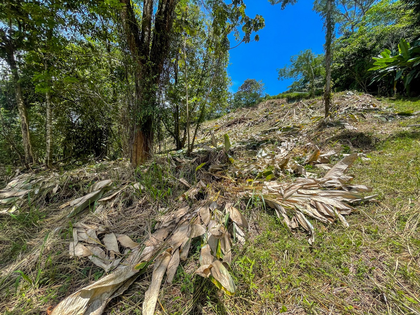 Property For Sale in Ojochal Costa Rica