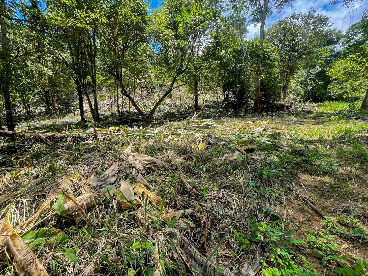 Property For Sale in Ojochal Costa Rica