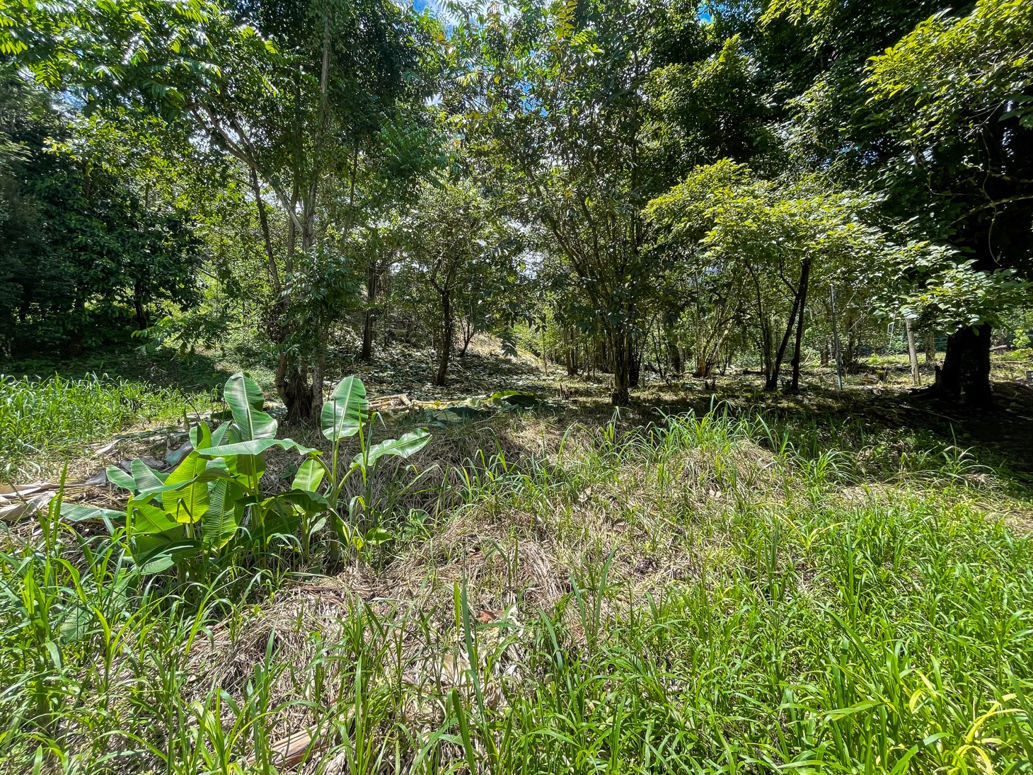 Property For Sale in Ojochal Costa Rica