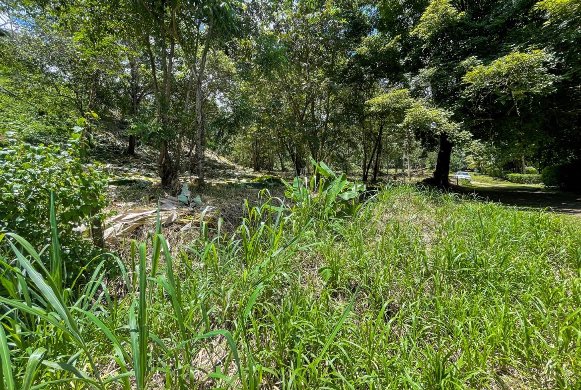 BUILDING PROPERTY WITH TREES VIEWS, IN OJOCHAL – 1.6 ACRES