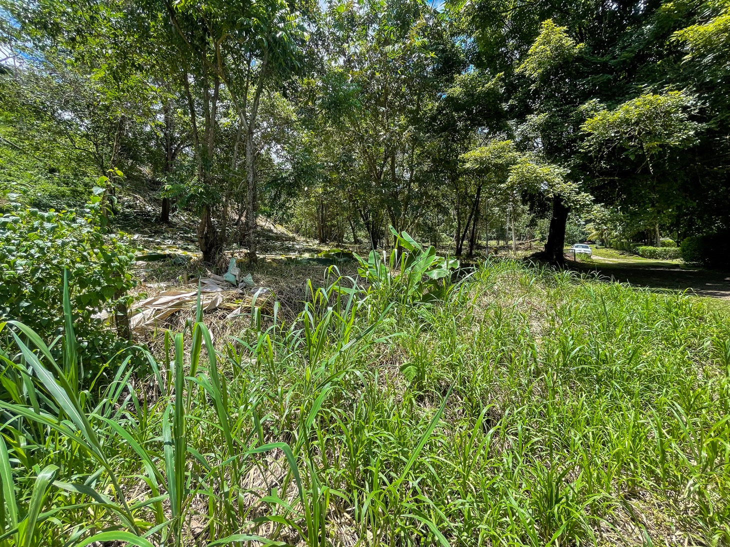 Property For Sale in Ojochal Costa Rica