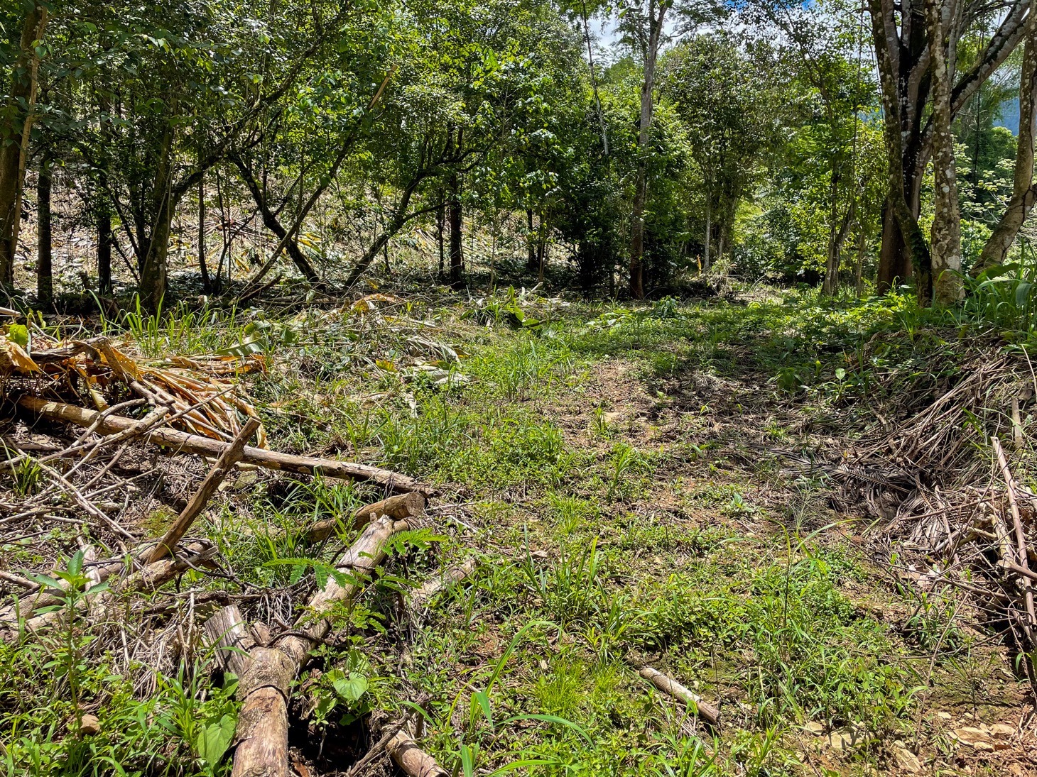 Property For Sale in Ojochal Costa Rica