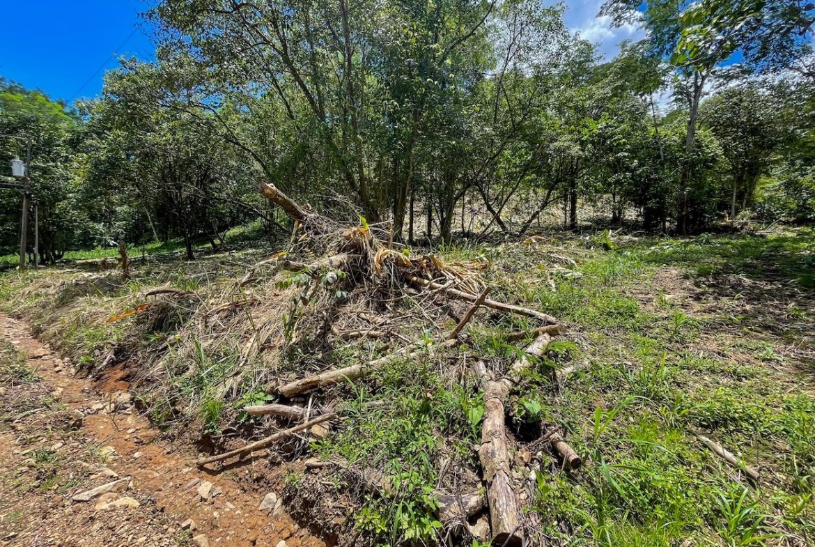 BUILDING PROPERTY WITH TREES VIEWS, IN OJOCHAL – 1.6 ACRES