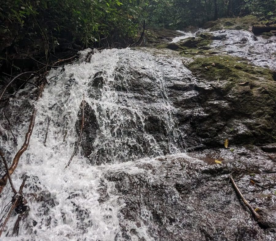 BUILDING PROPERTY WITH MOUNTAIN VIEWS AND NEAR OF CREEK, IN GUAPINOL PARRITA – 43.53 ACRES