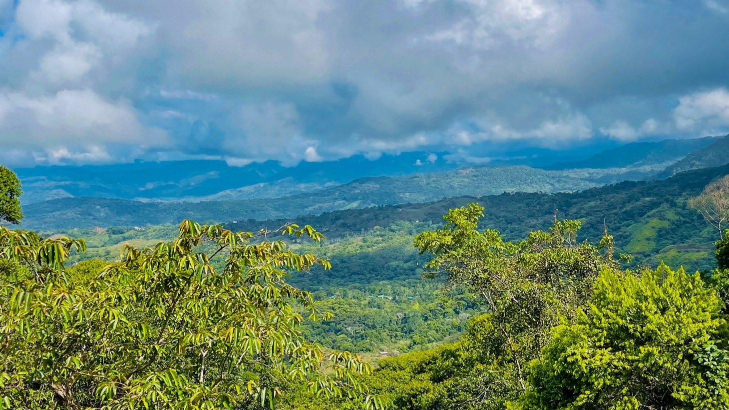 5516 – Costa Verde Lot #43_01