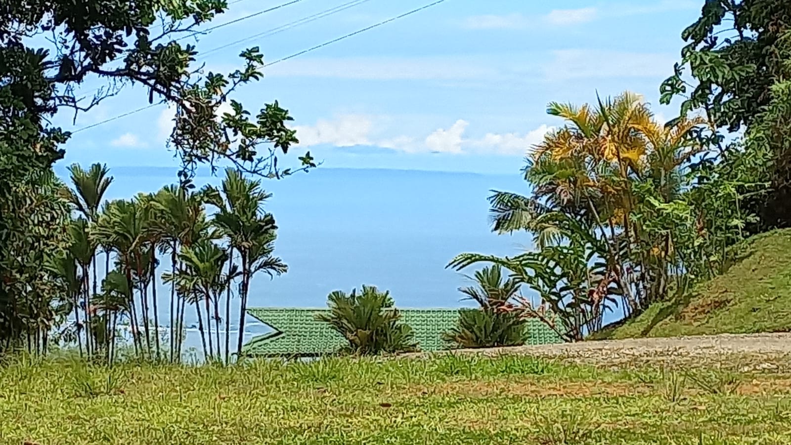 5516 – Costa Verde Lot #43_01a